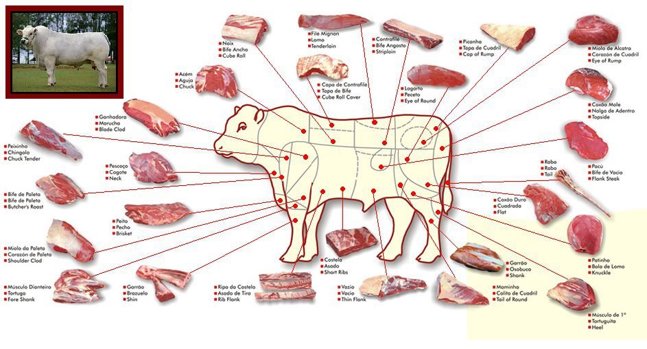 [Image: cortes-de-carne-bovina-RS-Receita-de-Viagem.jpg]