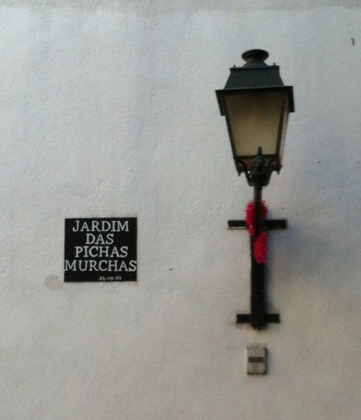 Jardim das Pichas Murchas