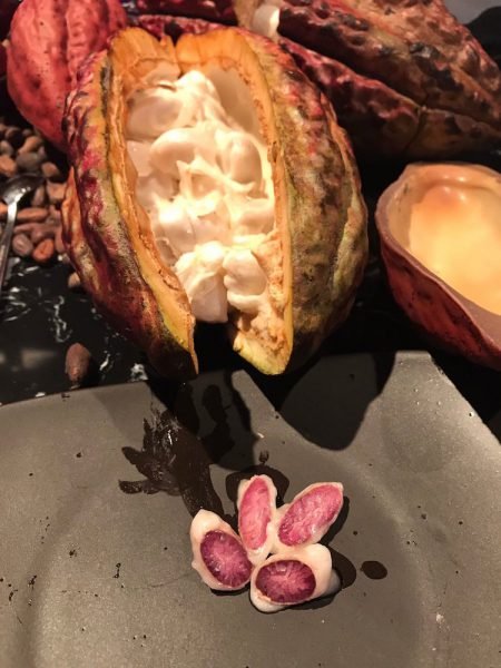 chocolate